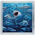 Piatnik Mega Magna Puzzle 3D : Requins - Sharks