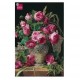 Piatnik - 1000 pièces - Bouquet roses