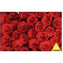 Piatnik - Puzzle 1000 pièces - Roses Rouge