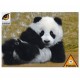 Piatnik - Puzzle 100 pièces - Bébé panda