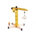 Pintoy Grue