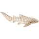 Plastoy - 2233-29 - Figurine - Animal - Requin Zebre