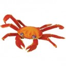 Plastoy - 2617-29 - Figurine - Animal - Crabe Des Galapagos