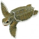 Plastoy - 2674-29 - Figurine - Animal - Tortue Ridlay Bebe