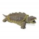 Plastoy - 2680-29 - Figurine - Animal - Tortue Alligator