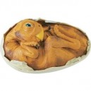 Plastoy - 9703-09 - Figurine - Animal - Bebe Oviraptor