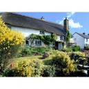 Ravensburger Croyde Cottage - puzzle de1000 pièces