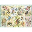 Ravensburger Les Oiseau Britanique - Puzzle 1000 Pièce