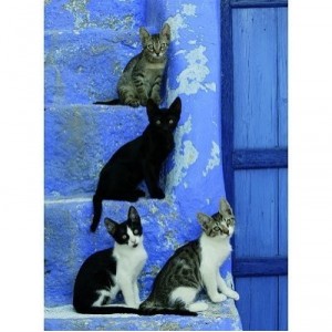 Ravensburger Nathan - 87157 - Puzzle - 500 Pièces - Fratrie féline