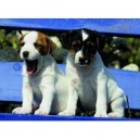 Ravensburger Nathan - 87158 - Puzzle - 500 Pièces - Dure vie de chiens