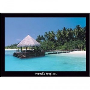 Nathan Ravensburger - 87515 - Puzzle - 1000 Pieces - Tropical Paradise