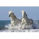 Ravensburger Nathan - 87516 - Puzzle - 1000 Pièces - Fougue camarguaise