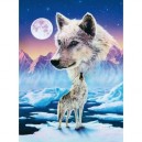Puzzle 1000 Teile Loups arctiques (Neon/Starline) 16111 von Ravensburger (Ravensburger)