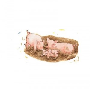 Ravensburger - 06 332 1 - Puzzle avec Cadre - A La Ferme - 40 pieces