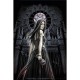 Ravensburger - 1000 pièces - Anne Stokes : Lune minuit (Ravensburger)