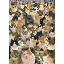 Ravensburger - 1000 pièces - Galerie chats (Ravensburger)
