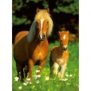 Ravensburger - 13031 - Puzzle Classique - Chevaux Heureux - 300 Pièces