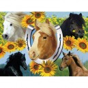 Ravensburger - 13151 - Puzzle - 300 Pièces Mes chevaux préférés