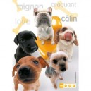 Ravensburger - 13168 - Puzzle enfant - The Dog Family - 300 Pièces