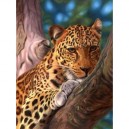 Ravensburger - 14107 - Puzzle - Le Léopard - 500 Pièces (Ravensburger)
