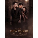 Ravensburger - 14127 - Puzzle 500 Pièces - twilight: Edward, Jacob et Bella (Import Allemagne)