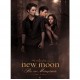 Ravensburger - 14127 - Puzzle 500 Pièces - twilight: Edward, Jacob et Bella (Import Allemagne)