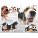 Ravensburger - 14611 - Puzzle - Un amour chien - 500 Pièces (Ravensburger)