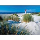 Ravensburger - 14613 - Puzzle - dans dunes - 500 Pièces