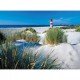 Ravensburger - 14613 - Puzzle - dans dunes - 500 Pièces