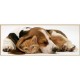 Ravensburger - 15108 - Puzzle Classique - Amitié Entre Animaux - Panorama - 1000 Pièces