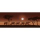 Ravensburger - 15110 - Puzzle - Eléphants dans La Savane - 1000 Pièces
