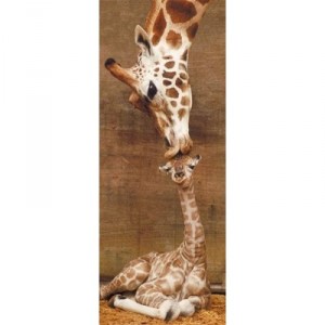Ravensburger - 15115 - Puzzle - First Kiss - 1000 Rooms
