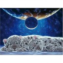 Ravensburger - 16246 - Puzzle - 1500 Pièces Rêves paradisiaques - Schimmel