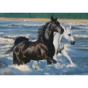 Ravensburger - 16276 - Puzzle - 1500 Pièces Chevaux sur la plage