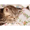 Ravensburger - 16338 - Puzzle - Chaton endormi - 1500 Pièces