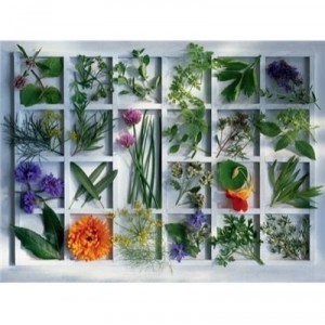 Ravensburger - 16372 - Puzzle - Herbes Aromatiques - 1500 Pièces