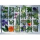 Ravensburger - 16372 - Puzzle - Herbes Aromatiques - 1500 Pièces