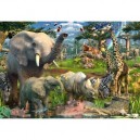 Ravensburger - 17823 - Puzzle - Animaux - 18000 Pièces