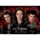 Ravensburger - 19248 - Puzzle - Twilight - 1000 pièces (Import Allemagne)