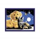Ravensburger - 27878 - Peinture au Numéro Etoile "Funkelnder Sternenhimmel, Malen nach Zahlen" - 13 ...