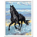 Ravensburger - 28092 - Peinture par Numéro - Cheval Galopant sur la Plage - 18 x 24 cm (Import Allem...