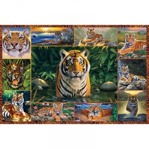 Ravensburger - 5000 pièces - Diaporama Tigres (Ravensburger)