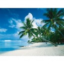 Ravensburger - Puzzle - Océan Pacifique, Bora Bora - 1000 Pièces