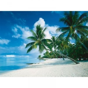 Ravensburger - Puzzle - Océan Pacifique, Bora Bora - 1000 Pièces