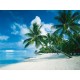 Ravensburger - Puzzle - Océan Pacifique, Bora Bora - 1000 Pièces