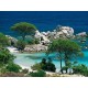 Ravensburger - Puzzle - Plage Palombaggia, Cors - 1000 Pièces