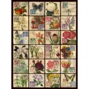 Ravensburger - Puzzle - Vintage Flora 500 Pièces (Import Grande Bretagne)