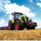 RAVENSBURGER - Set de puzzles "Axion, Lexion, Jaguar", 3 x 49 pièces