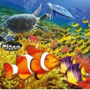 RAVENSBURGER Set de puzzles Habitants de la mer 3 x 49 pièces
