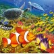 RAVENSBURGER Set de puzzles Habitants de la mer 3 x 49 pièces